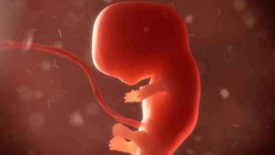 Kontroversi Bayi Tiga Orangtua di Inggris, Adakah Aspek Etis yang Diterabas?