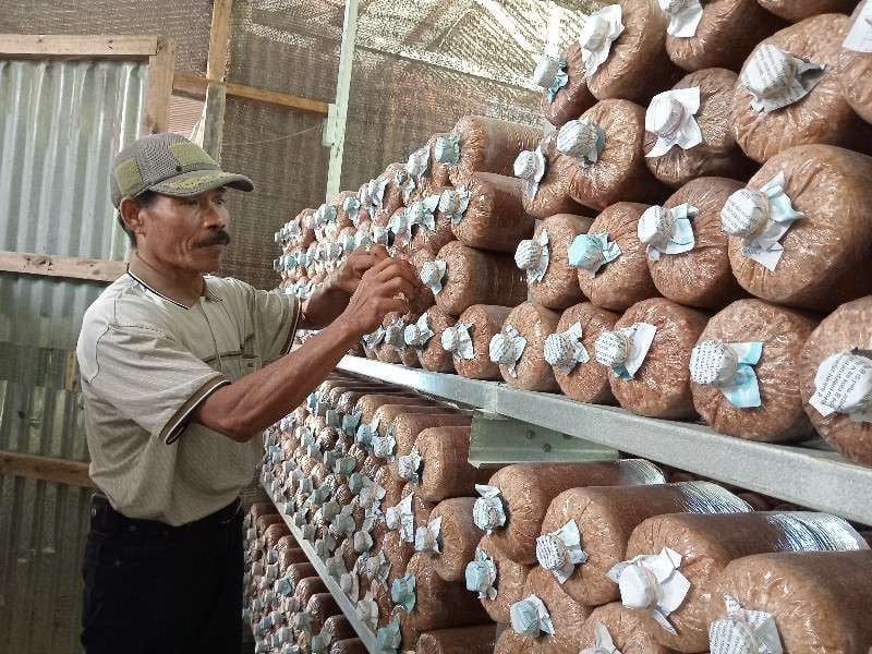 Kabar Gembira! PPh 0,5 Persen Bagi UMKM Diperpanjang hingga 2029