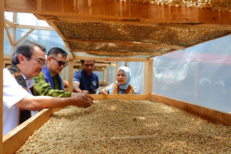 Desa Sejahtera Astra Bajawa Ekspor 15 Ton Kopi ke Thailand Senilai Rp1,65 Miliar