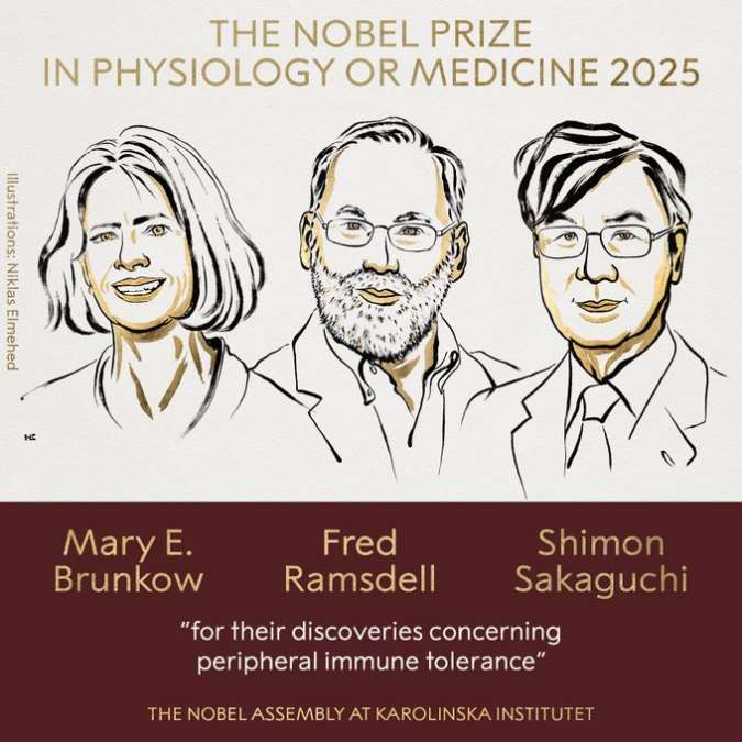 Tiga Ilmuwan dari Jepang dan AS Raih Hadiah Nobel Kesehatan 2025 Berkat Penemuan Sel Imun