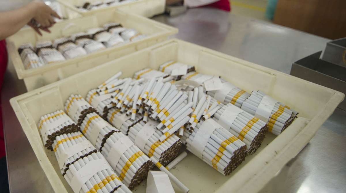 Pemerintah Pastikan Tarif Cukai Rokok Tak Naik di 2026, Harga Eceran Tetap