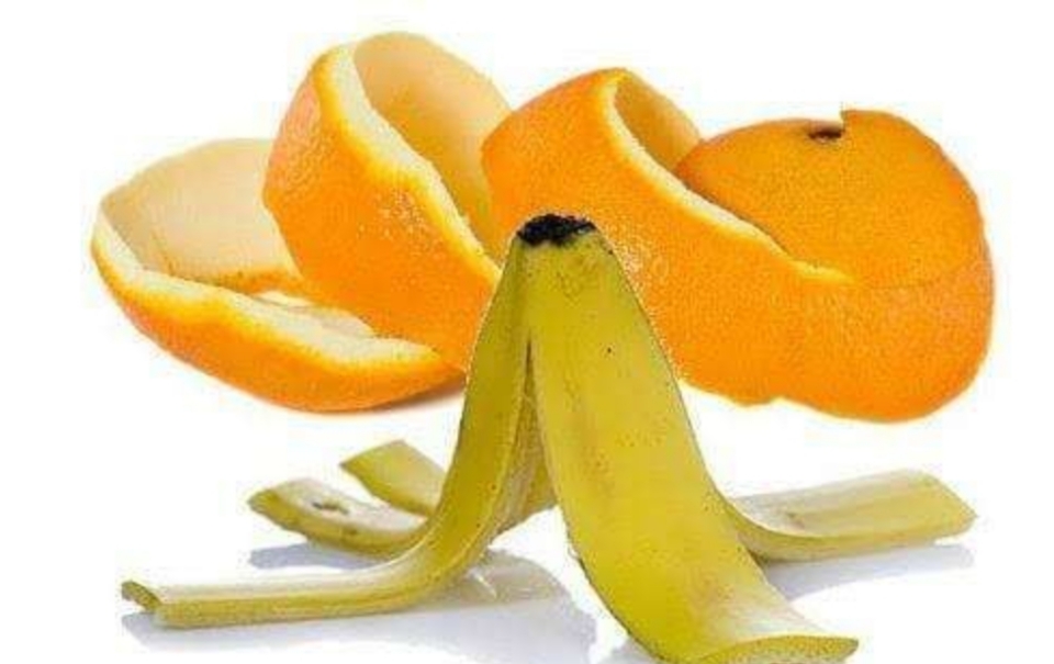 Beberapa Manfaat Kulit Buah, Berikut Penjelasannya