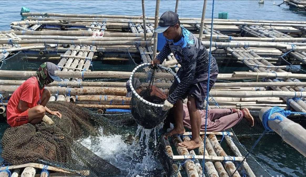 Jawa Timur Miliki Potensi Perikanan Strategis, Kontribusi Capai Rp 67,7 Triliun