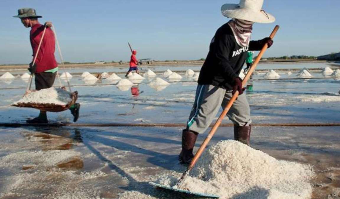 Produksi Garam Nasional 2025 Turun, Genjot Intensifikasi dan Ekstensifikasi Menuju Swasembada 2027