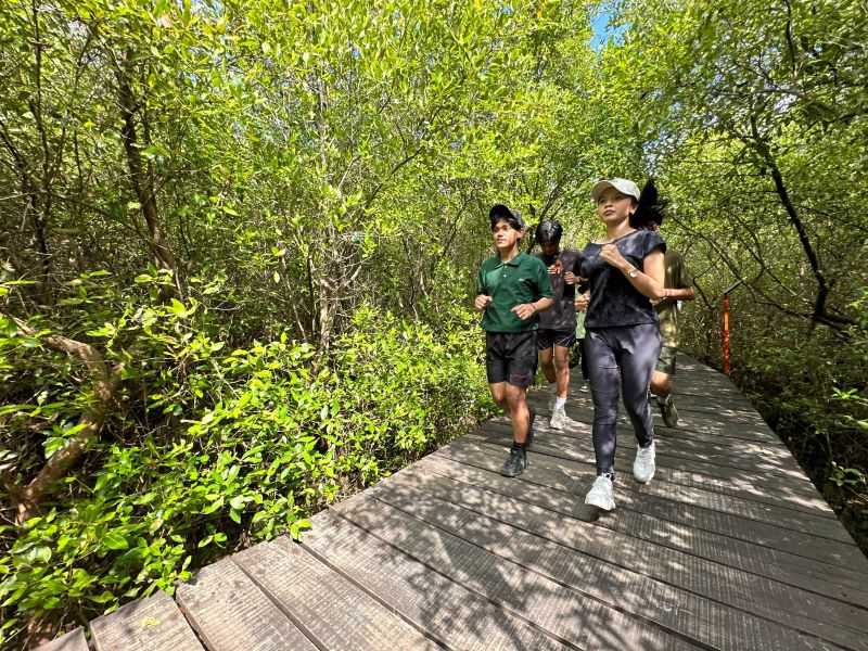 Kebun Raya Mangrove Surabaya Gaspol Konservasi, Koleksi Mangrove Tembus 74 Jenis
