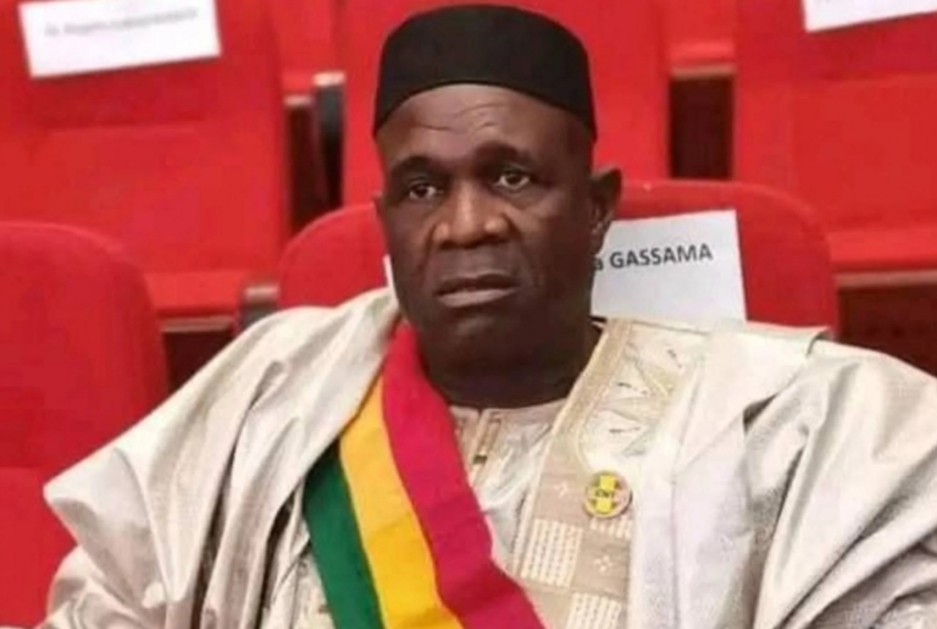 Hina Kepala Negara, Politisi Mali Ditahan