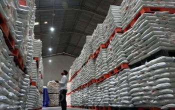 Hadapi El Nino, Wamentan Pastikan Stok Beras 5,37 Juta Ton Aman Hadapi Kemarau