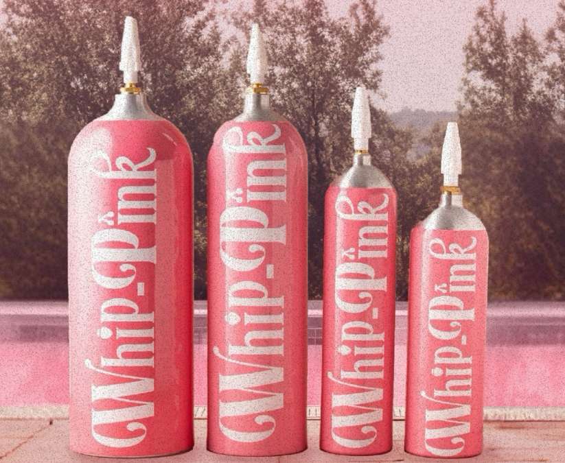 Selebgram Lula Lahfah Meninggal! Apa hubungannya dengan Whip Pink?