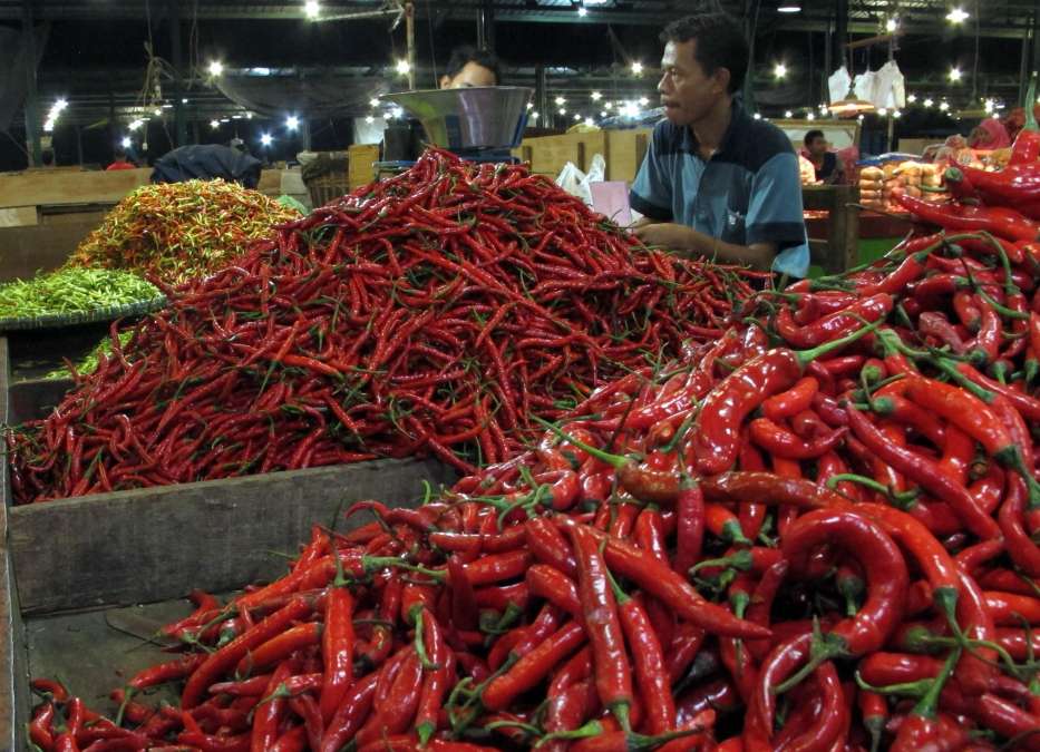 Kementan Siapkan Regulasi Stabilitas Harga Cabai dan Tomat, Petani Tak Lagi Rugi