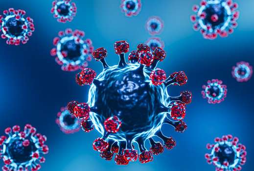 Waspada! Virus Nipah Ada di Sekitar Kita