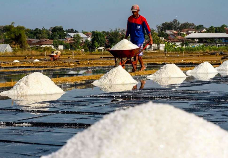 Menuju Swasembada Garam 2027, Petambak Minta Transparansi Impor dan Kepastian Harga