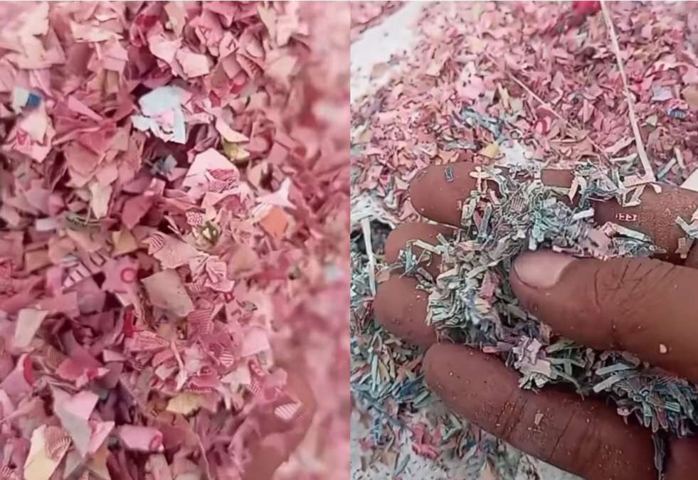 Viral Cacahan Uang di Bekasi, BI Bakal Telusuri dan Pastikan Pemusnahan Sesuai Prosedur