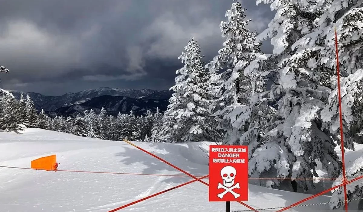 Hujan Salju Ekstrem di Jepang Tewaskan 30 Orang dalam Dua Pekan