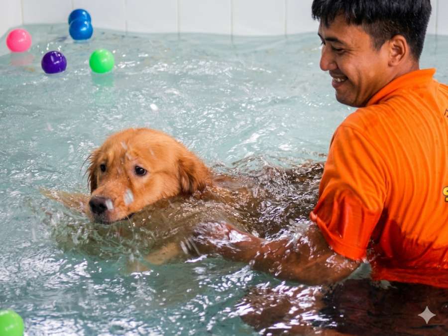 Mudik Tenang, Anabul Senang: Intip Mewahnya Sunny Pet Hotel Surabaya yang Banjir Reservasi Jelang Lebaran