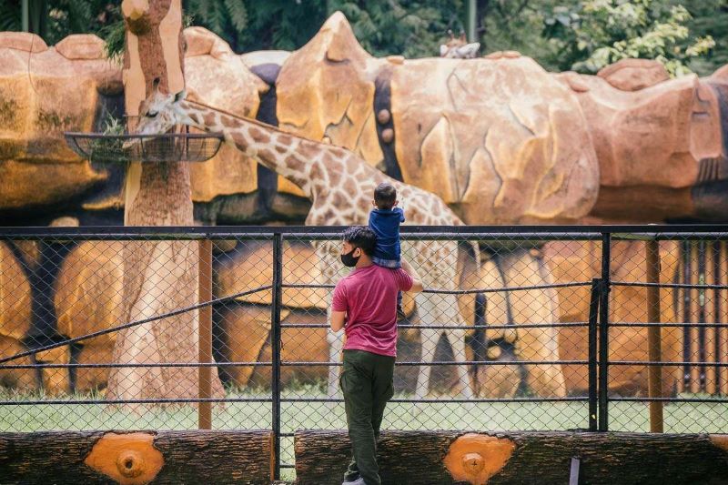 Wow! Libur Lebaran 2026, Kebun Binatang Surabaya Diserbu 40 Ribu Pengunjung Keluarga