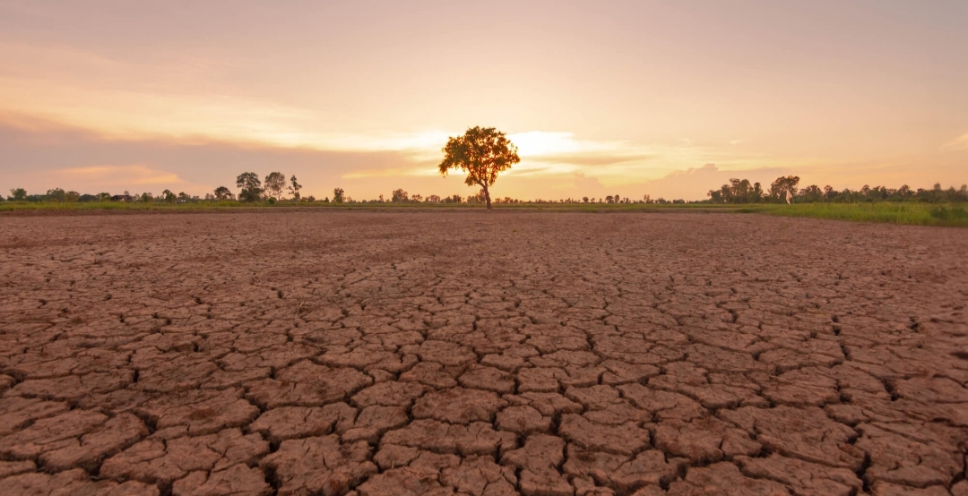 Awas! BMKG Beri Peringatan Musim Panas Akan Tiba Lebih Awal dan Lama