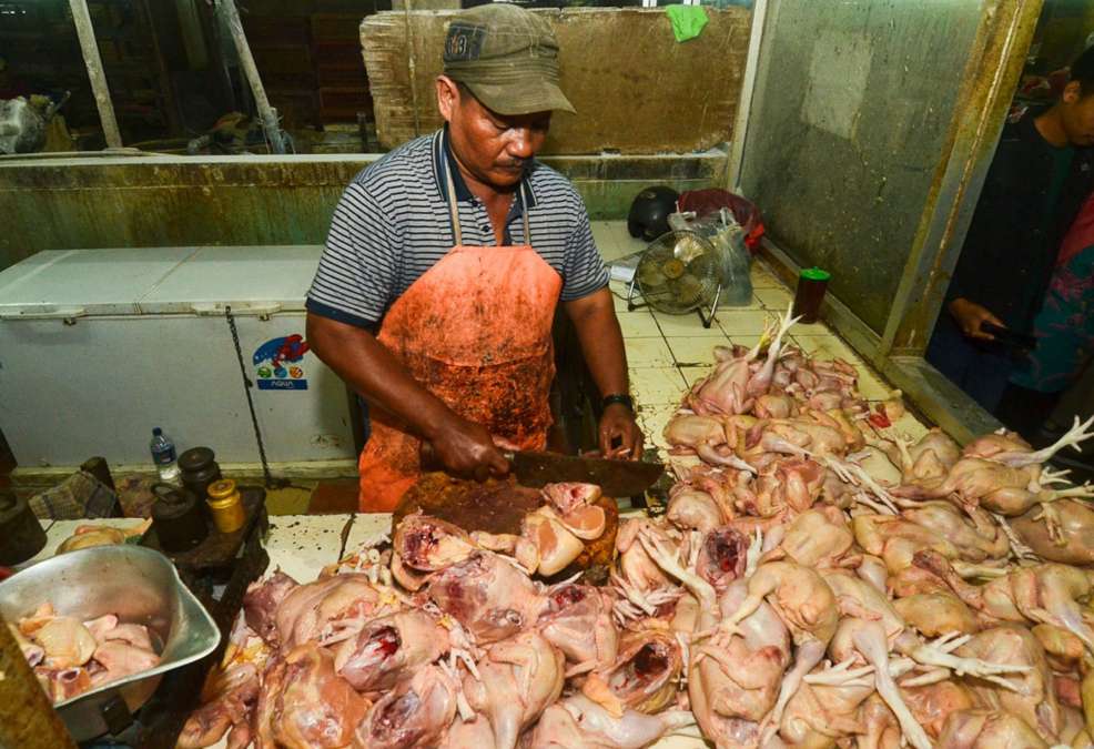 Stok Pangan Saat Lebaran Surplus, Harga Dipastikan Stabil