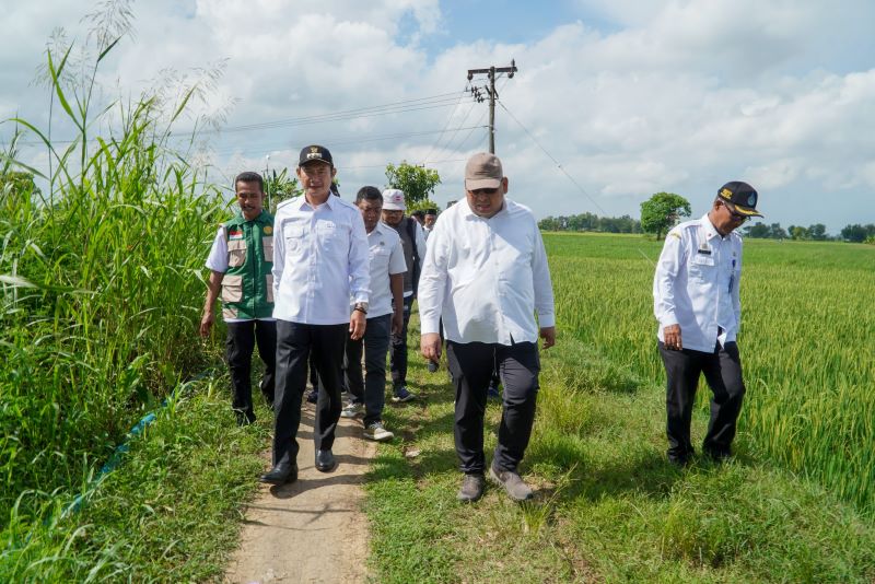 Hadapi El Nino, Petani Lamongan Tetap Ngebut Tanam Berkat Pompanisasi
