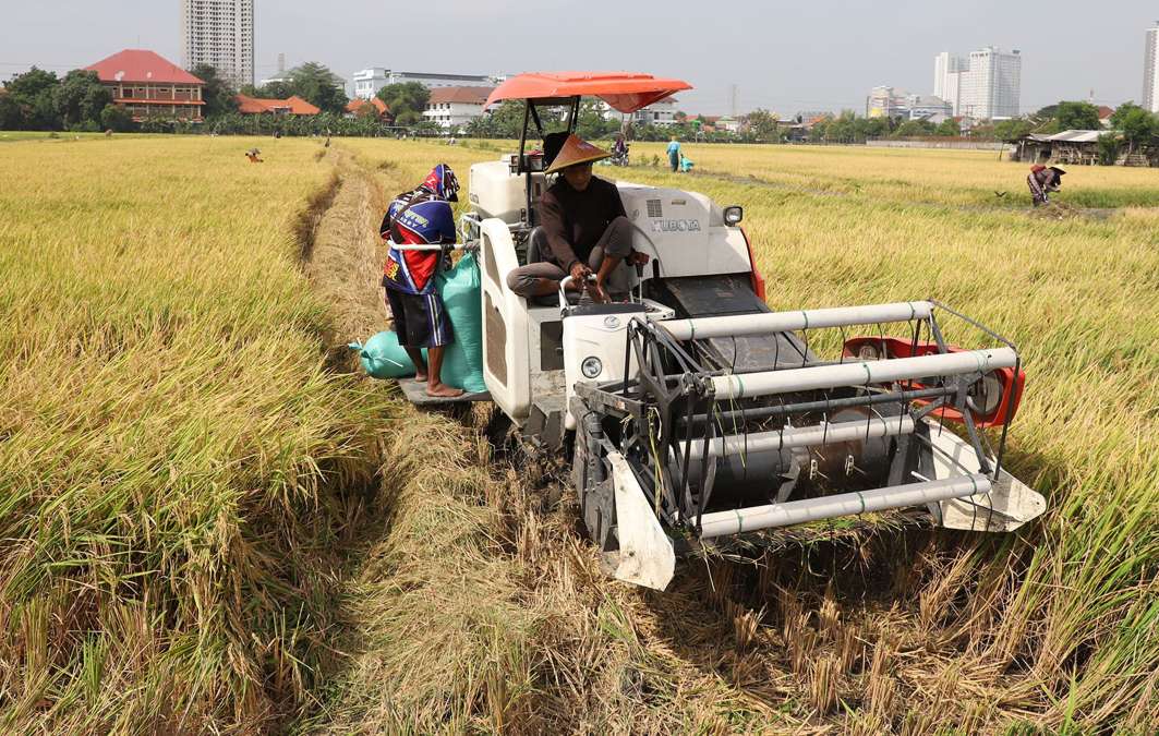 Kenaikan BBM Nonsubsidi Picu Kekhawatiran Petani, Ini Penyebabnya