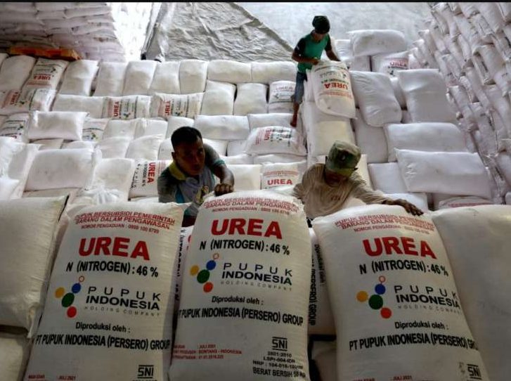 Di Tengah Gejolak Global, Pemerintah Pastikan Harga Pupuk Subsidi Tidak Naik