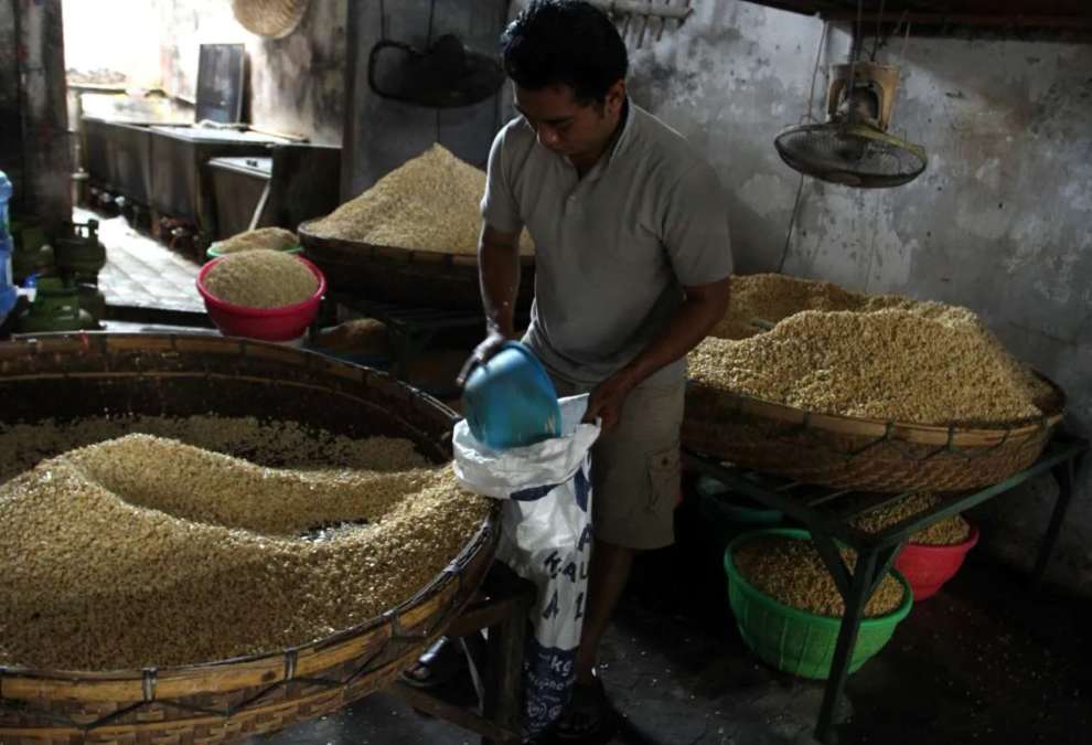 Masih Sesuai HAP, Kementan Pastikan Harga Kedelai Aman Terkendali