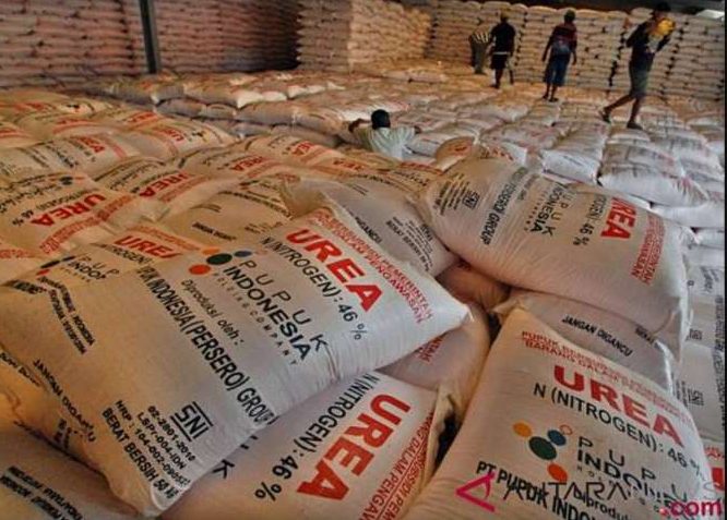 Krisis Global Buka Peluang, Indonesia Jadi Pemasok Urea Dunia