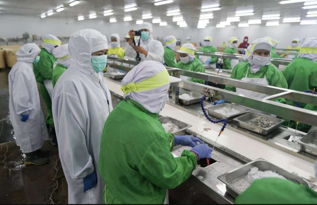 Di Awal Tahun, Dunia Usaha Melambat, Industri Pengolahan Tetap Jadi Motor Ekonomi