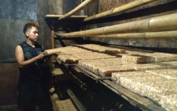 322 Ribu Ton Kedelai Tersedia, Bapanas Jamin Produksi Tahu-Tempe Lancar