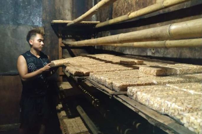 322 Ribu Ton Kedelai Tersedia, Bapanas Jamin Produksi Tahu-Tempe Lancar