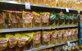 Ternyata Ini Biang Kerok Kenaikan Harga Minyak Goreng Premium