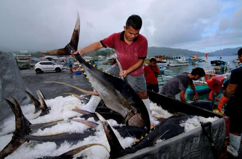 Hilirisasi Diperluas, Pertanian dan Perikanan Jadi Fokus Baru