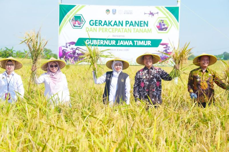Pemprov Jatim Instruksikan Pemerintah Daerah Percepat Tanam Padi Antisipasi El Nino