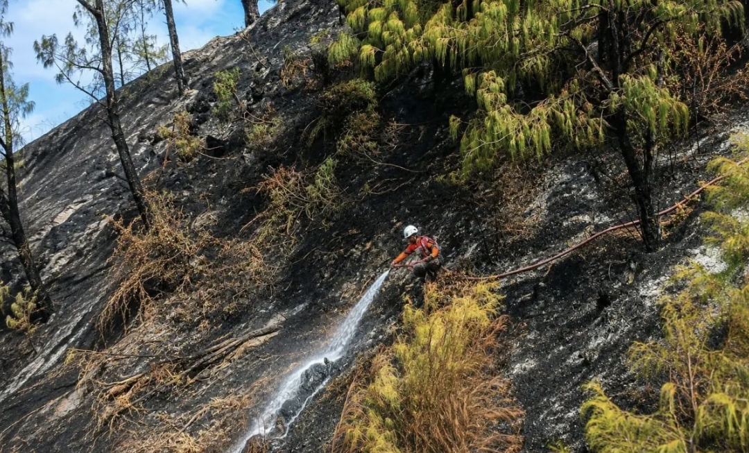 Kerahkan Ratusan Petugas Gabungan, Kebakaran di Bromo Berangsur Membaik